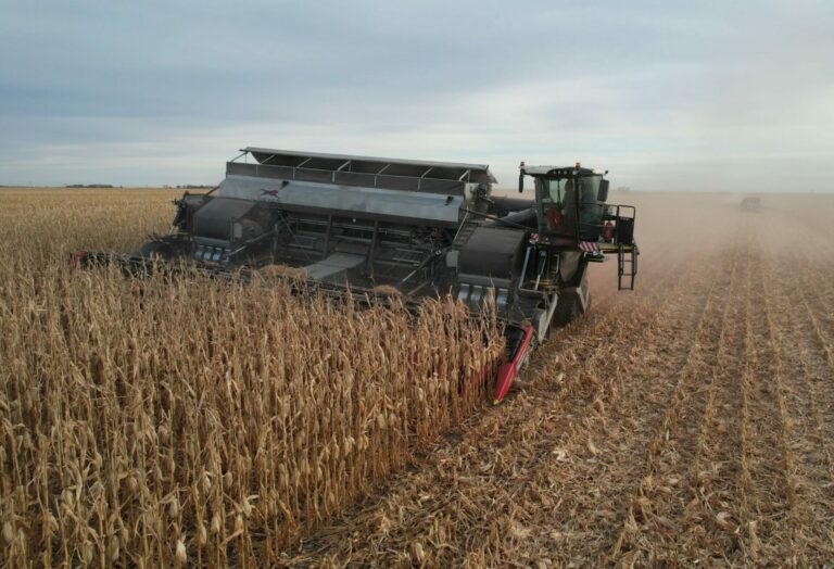 With the combine application attached, Nexat harvests crops at TDO Farms last fall. Photo courtesy of Adam Ochsner.